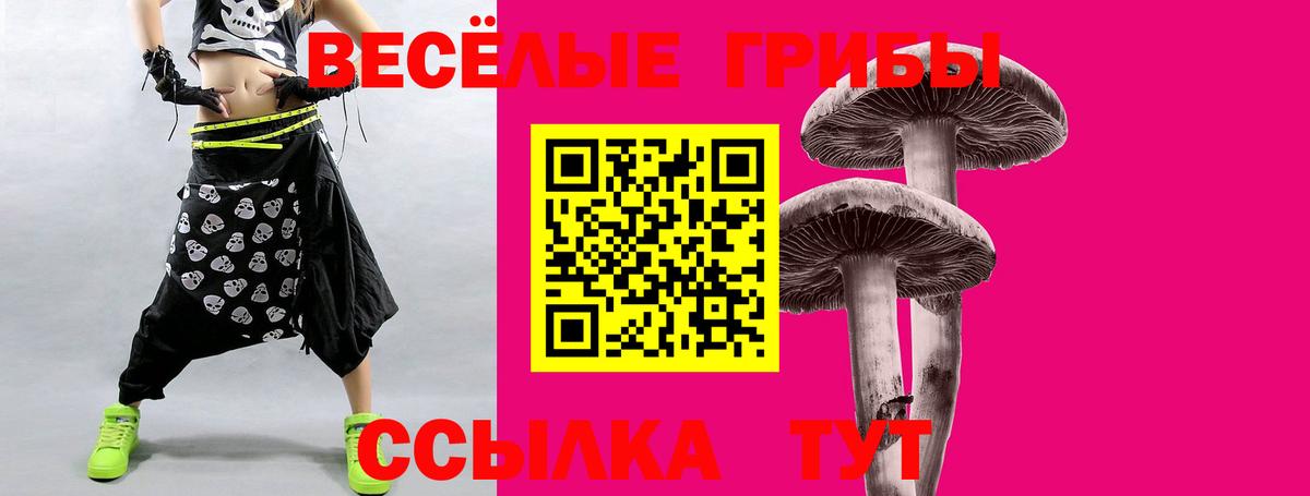 Слободской  Псилоцибиновые грибы Magic Shrooms  Вход с VPN 