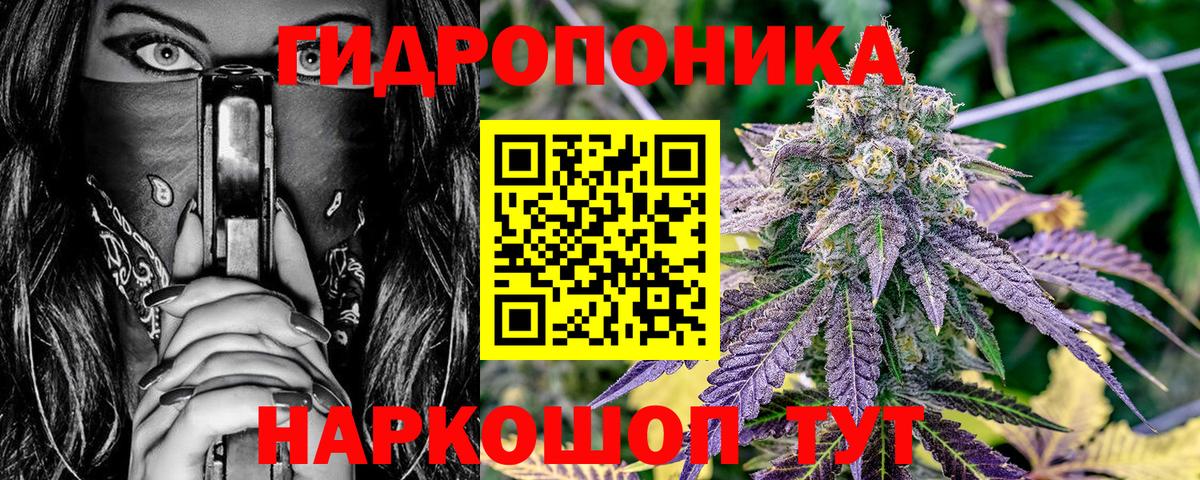 Бошки марихуана Ganja  Шишки марихуана SATIVA & INDICA  Шишки марихуана White Widow  Слободской  Вход с VPN  Шишки марихуана план 